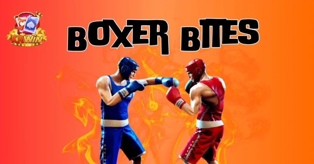 the-exciting-world-of-boxingbite-games-available-online